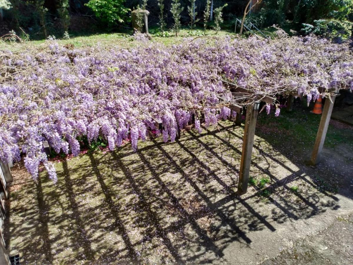 Apartamentos Aromas De Gramado - Bairro Centro Dış mekan fotoğraf